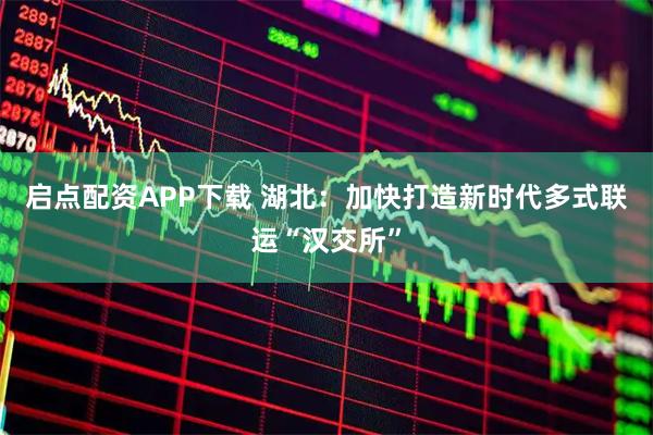 启点配资APP下载 湖北：加快打造新时代多式联运“汉交所”