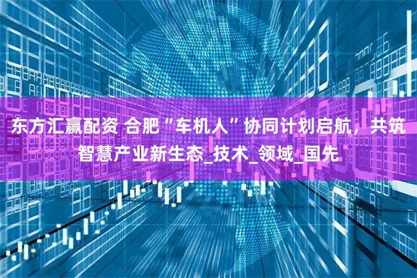 东方汇赢配资 合肥“车机人”协同计划启航，共筑智慧产业新生态_技术_领域_国先