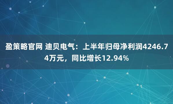 盈策略官网 迪贝电气：上半年归母净利润4246.74万元，同比增长12.94%