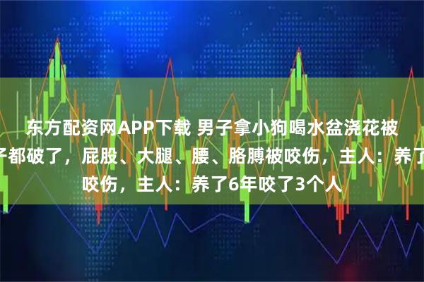 东方配资网APP下载 男子拿小狗喝水盆浇花被追咬,衣服裤子都破了,屁股、大腿、腰、胳膊被咬伤,主人:养了6年咬了3个人